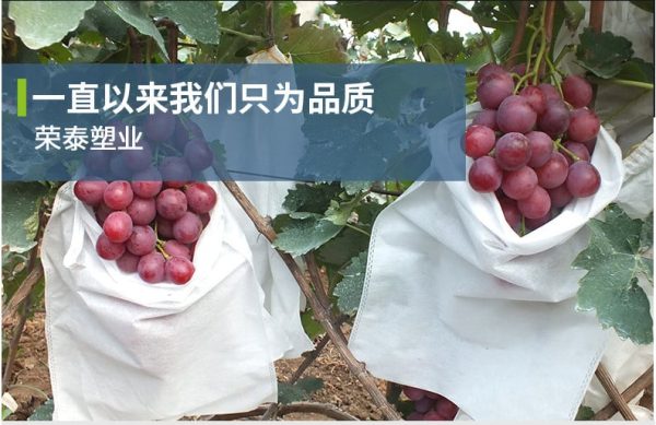 Túi bao trái cây kích thước 30x40cm Đài Loan loại dày