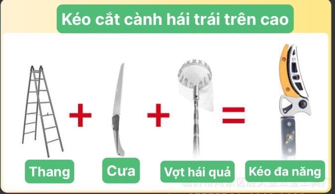 Kéo cắt cành hái quả trên cao 3m 3 đoạn