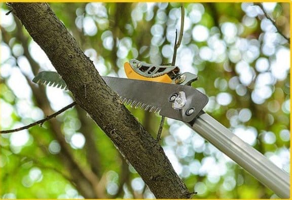 Kéo cắt cành hái quả trên cao 3m 3 đoạn