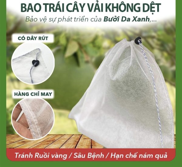 Túi bọc trái cây chống côn trùng