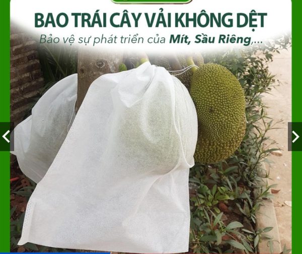 Túi bọc trái cây chống côn trùng